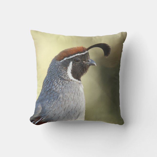 Male Quail Portrait Cushion (Front)