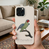Male Red-Cheeked Parrot, Geoffroyus geoffroyi