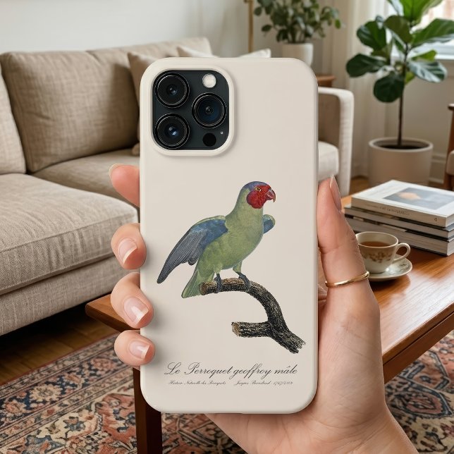 Male Red-Cheeked Parrot, Geoffroyus geoffroyi Case-Mate iPhone Case (Male Red-Cheeked Parrot, Geoffroyus geoffroyi. iPhone Case)