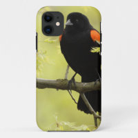 Male Red Winged Blackbird