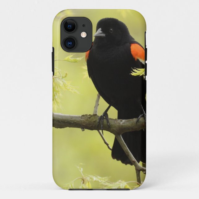 Male Red Winged Blackbird Case-Mate iPhone Case (Back)
