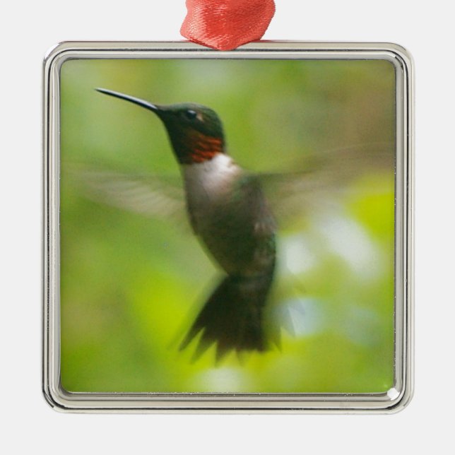 Male Ruby Throat Hummingbird Metal Ornament (Front)