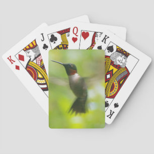 Male Ruby Throat Hummingbird Playing Cards