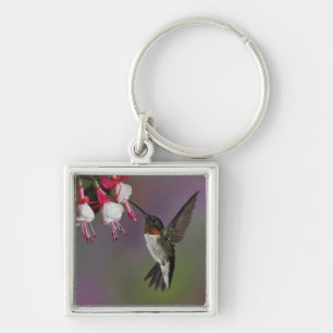Male Ruby throated Hummingbird, Archilochus Key Ring
