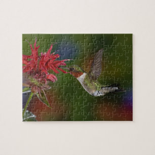Male Ruby-throated Hummingbird Jigsaw Puzzle