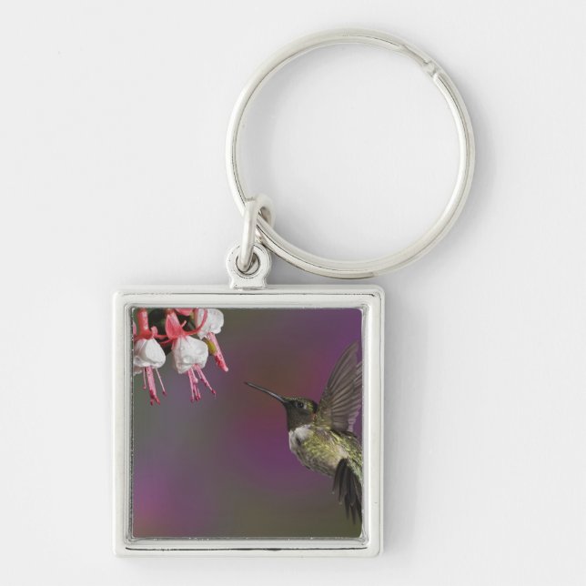 Male Ruby throated Hummingbird Key Ring (Front)