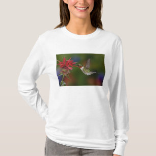 Male Ruby-throated Hummingbird T-Shirt