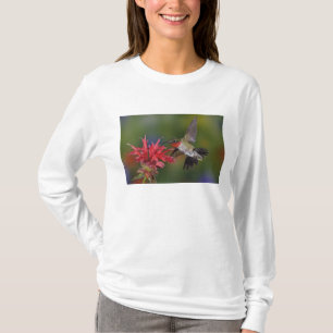Male Ruby-throated Hummingbird T-Shirt
