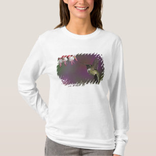 Male Ruby throated Hummingbird T-Shirt