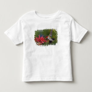 Male Ruby-throated Hummingbird Toddler T-Shirt