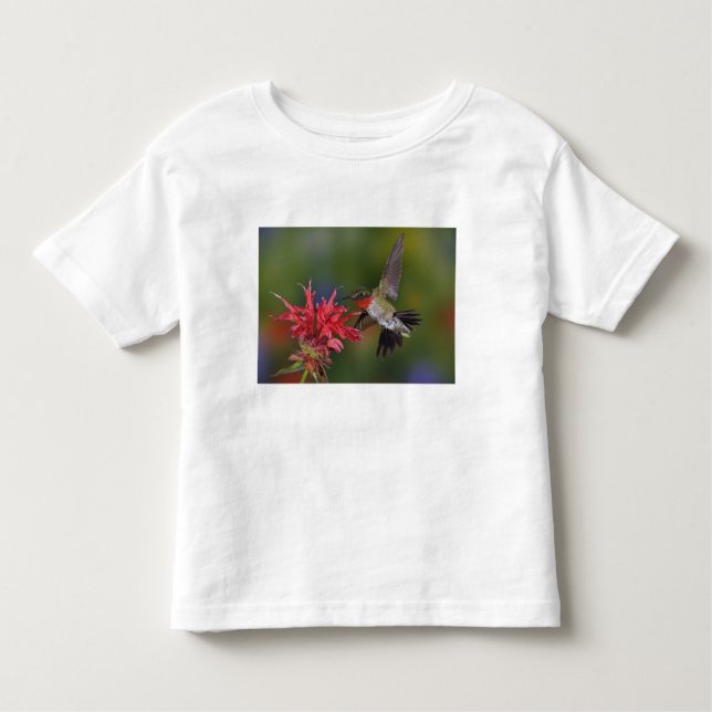 Male Ruby-throated Hummingbird Toddler T-Shirt (Front)
