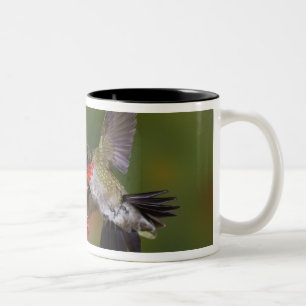 Male Ruby-throated Hummingbird Two-Tone Coffee Mug