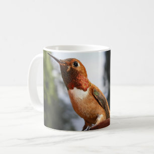 Male Rufous Hummingbird - Mugs