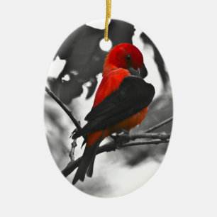 Male Scarlet Tanager Ceramic Ornament