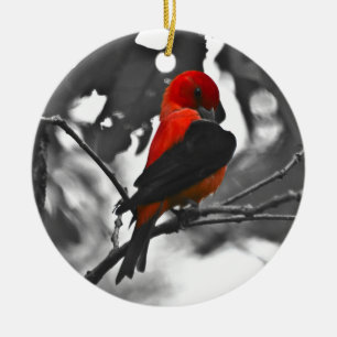 Male Scarlet Tanager Ceramic Tree Decoration