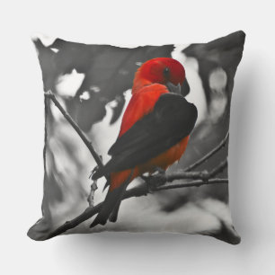 Male Scarlet Tanager Cushion