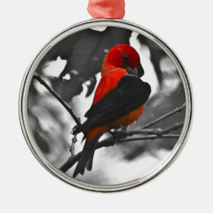 Male Scarlet Tanager Metal Ornament