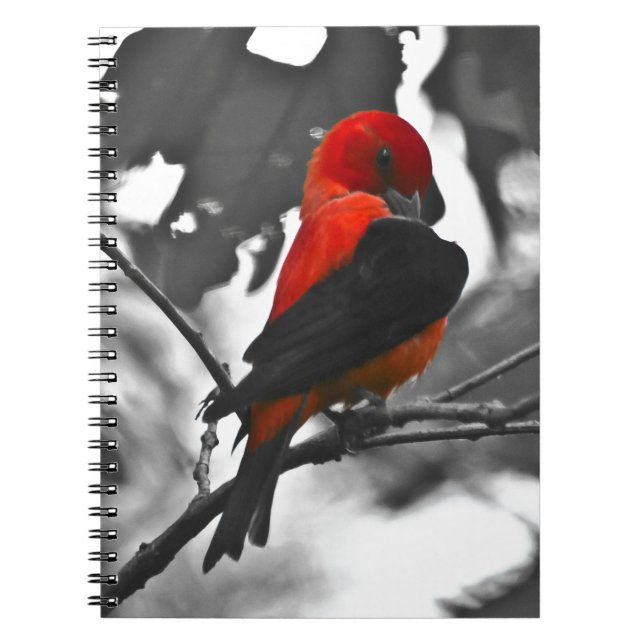 Male Scarlet Tanager Notebook (Front)