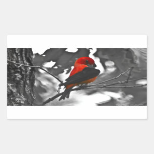 Male Scarlet Tanager Rectangular Sticker