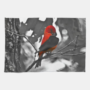 Male Scarlet Tanager Tea Towel