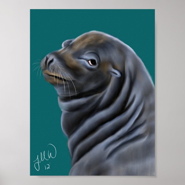 Male Sea Lion Poster (Front)