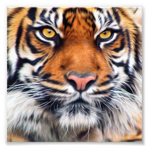 Male Siberian Tiger Paint Photograph
