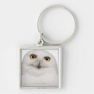 male Snowy Owl (Bubo scandiacus) is a large owl Key Ring