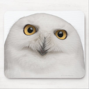 male Snowy Owl (Bubo scandiacus) is a large owl Mouse Pad