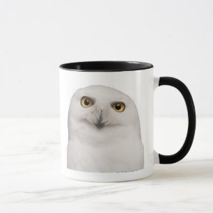 Male Snowy Owl (Bubo scandiacus) is a large owl Mug