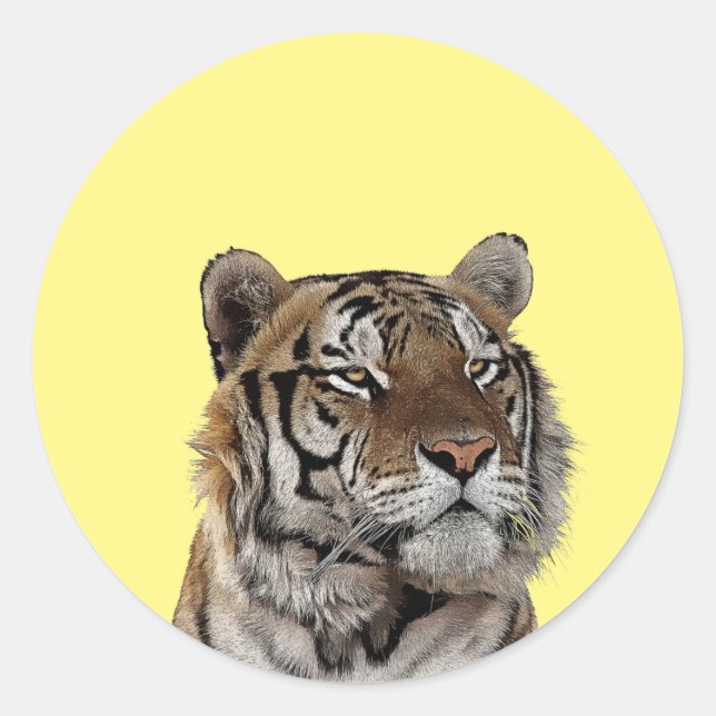 male tiger head animal wildlife art classic round sticker (Front)