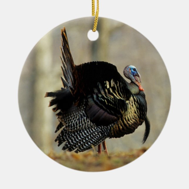 Male turkey strutting, Illinois Ceramic Tree Decoration (Front)