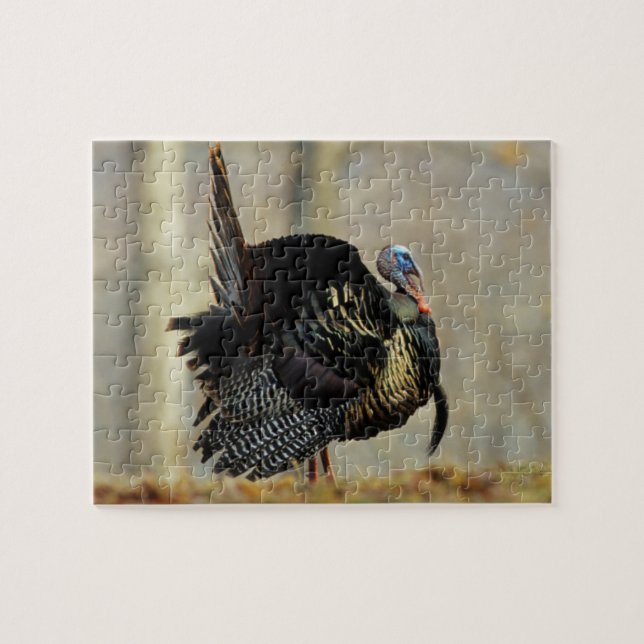 Male turkey strutting, Illinois Jigsaw Puzzle (Horizontal)