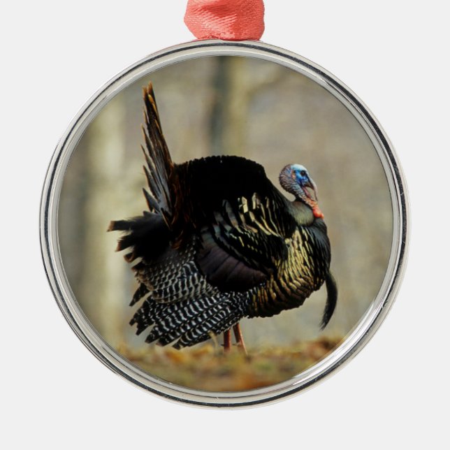 Male turkey strutting, Illinois Metal Tree Decoration (Front)
