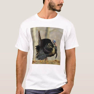 Male turkey strutting, Illinois T-Shirt