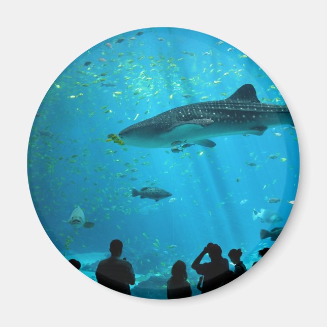 Male Whale Shark at Georgia Aquarium Magnet (Front)