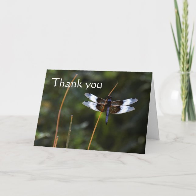 Male Widow Skimmer dragonfly  on a stick, thank yo Thank You Card (Front)