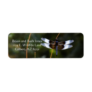 Male Widow Skimmer Return Address Label