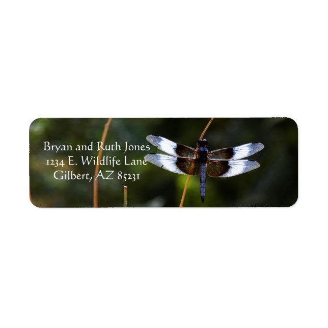 Male Widow Skimmer Return Address Label (Front)