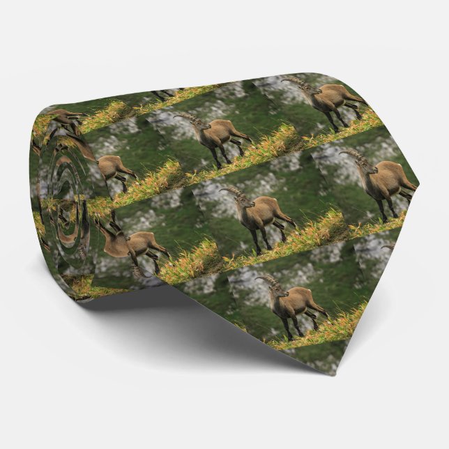 Male wild alpine, capra ibex, or steinbock tie (Rolled)