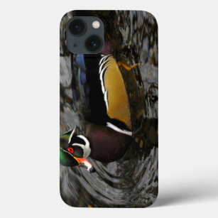 Male Wood Duck At Crystal Springs Rhododendron iPhone 13 Case