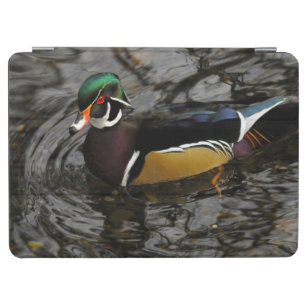 Male Wood Duck At Crystal Springs Rhododendron iPad Air Cover