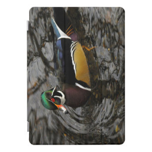 Male Wood Duck At Crystal Springs Rhododendron iPad Pro Cover