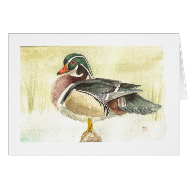 Male Wood Duck Card (Front Horizontal)