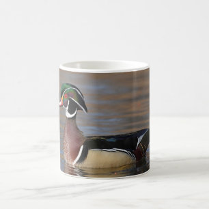 Male Wood Duck Coffee Mug