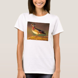 Male wood duck, Illinois T-Shirt