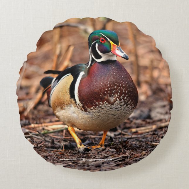 Male Wood Duck in the Woods Round Cushion (Front)