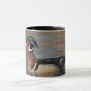 Male Wood Duck Mug