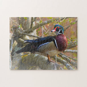 Male Wood Duck on the Tree Jigsaw Puzzle