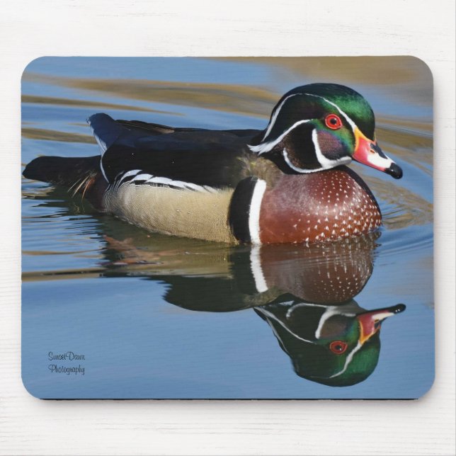 Male Wood Duck Reflection Throw Pillow Mouse Pad (Front)