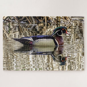 Male wood duck swimming in pond jigsaw puzzle